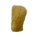 Bahamas Silk Sea Sponge