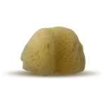 PACIFIC SILK SEA SPONGES