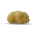 PACIFIC SILK SEA SPONGES