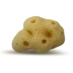 PACIFIC SILK SEA SPONGES