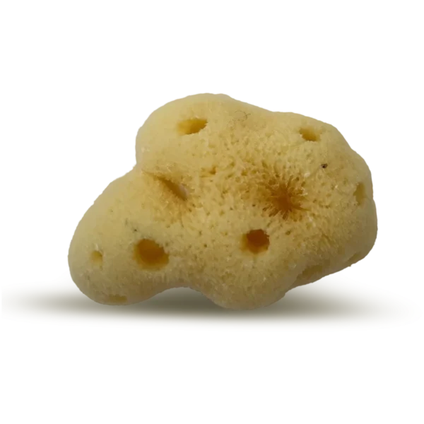 PACIFIC SILK SEA SPONGES